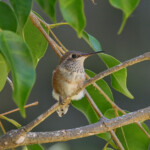 Summer looking at her new world - June 22nd Summer looking at her new world - June 22nd